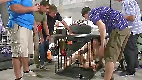 Shaky brunette swallows cum booty