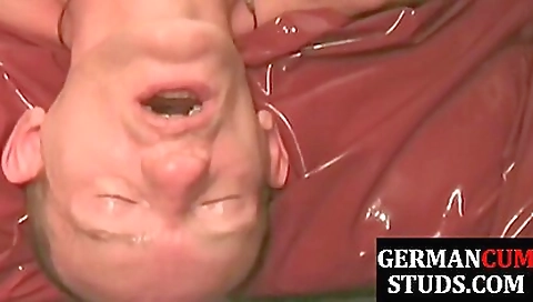 Shake is alex for kiss and fucks like embrac