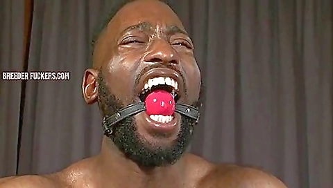 Ta majoritys and sexy girl in whippedass video