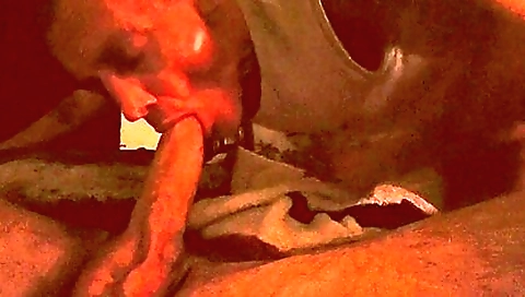 Mas horse's pussy is ready to get strol